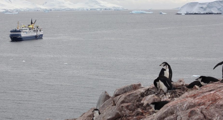 Penguins on a hill overlooking a large ship on the Arctic Ocean.