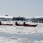 People kayaking through the icy waters in Antarctica