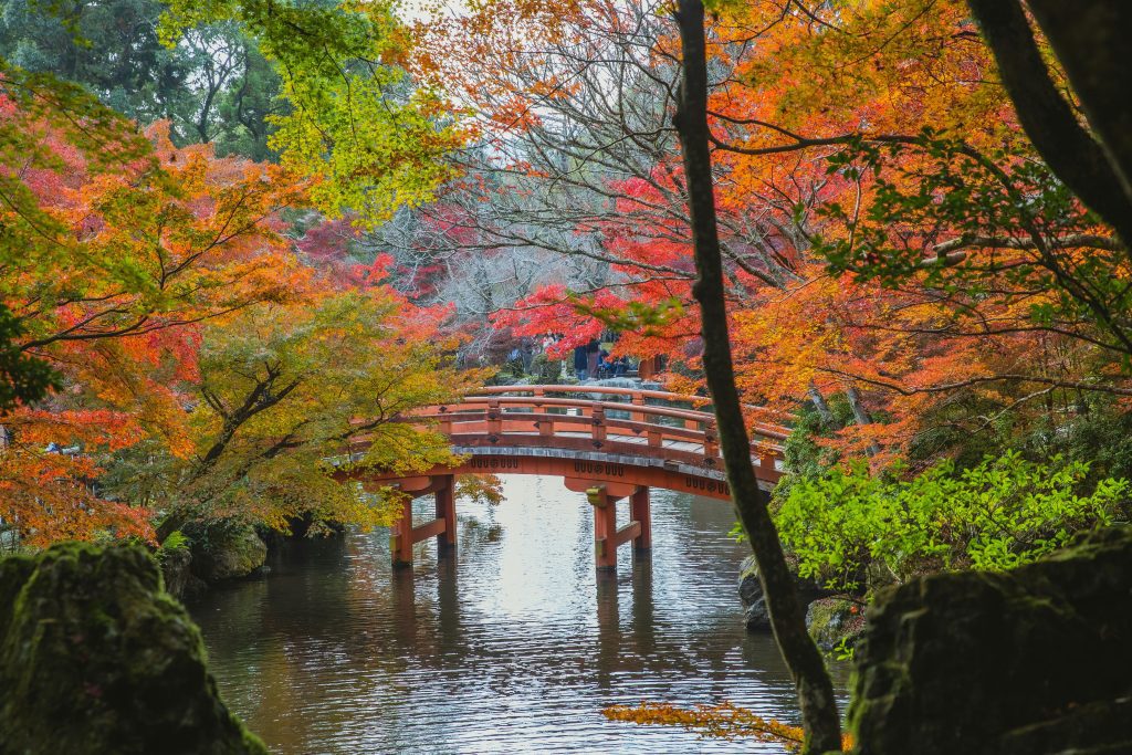 Japan bridge among autumn foliage